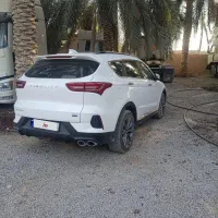 فدلیتی 5نفره|خودرو سواری و وانت|زاهدان, |دیوار