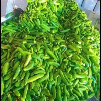 خیارشور درجه یک همدان|عمدهفروشی|لالجین, |دیوار