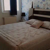 روتختی ترک در حد نونو