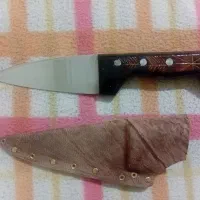 نوک سوزنی استیل با غلاف