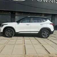 کیا سلتوس پلاک شده آماده