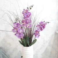 ارکیده سه شاخه