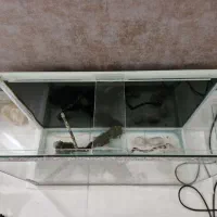 آکواریم