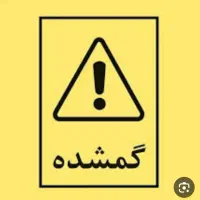 مدارک گمشده