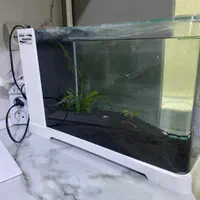 آکواریوم شیشه خم شرکتی