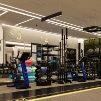 ماشین سارژی