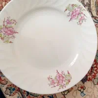 بشقاب چینی|ظروف سرو و پذیرایی|بروجرد, |دیوار