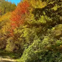 ۶۱۱۲*۳۵۰*۰۹۱۱