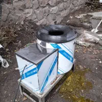 دستگاه گردو پاک کن