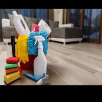 تمیز کار خانم