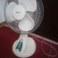 پنکه رومیزی دوو DAEWOO|پنکه و تصفیه‌کنندهٔ هوا|تهران, نجات اللهی|دیوار