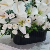 گل طبیعی