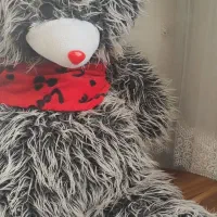 خرس بزرگ|اسباب‌بازی بچه|تبریز, |دیوار