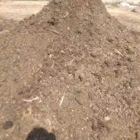 کود مرغ گوشتی|خدمات باغبانی و درختکاری|شیراز, گل سرخ|دیوار