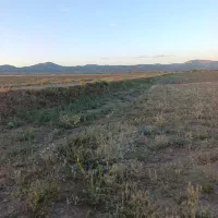 هزار متر زمین در نارمک(میانچال)