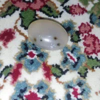 نگین شجر|جواهرات|جیرفت, |دیوار