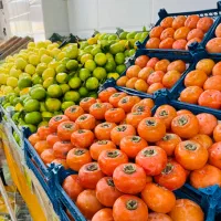 کار در میوه فروشی شیک و حقوق خوب|استخدام خدمات فروشگاه و رستوران|زارچ, |دیوار