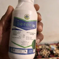 کشاورزی|عمدهفروشی|لامرد, |دیوار