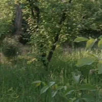 فروش زمین ۱۰۰۰متری و۵۰۰متری