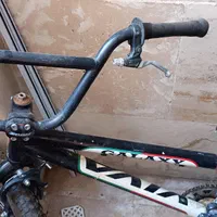 دوچرخه ویوا bmx حرفه‌ای|دوچرخه، اسکیت، اسکوتر|سبزوار, توحیدشهر|دیوار