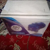 پمپ یک اسب بشقابی ایتالیایی باست کنترل پلمپ