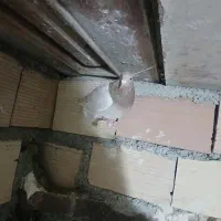 کبوترپلاکی افغانی|لوازم جانبی حیوانات|پاکدشت, پاکدشت (مامازند)|دیوار