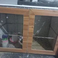 جفتدونی وکبوتر