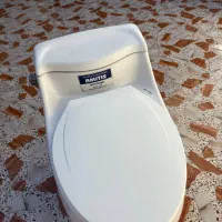 توالت فرنگی