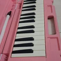 ملودیکا یاماها|سازهای بادی|تهران, ارامنه|دیوار