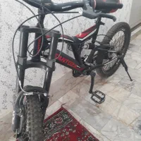 دوچرخه حرفه ای