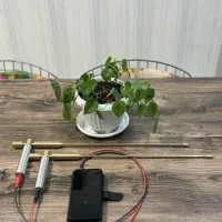 شاقول ردیاب|کلکسیون و سرگرمی|تهران, امام زاده حسن|دیوار