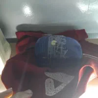 ماهی گوپی|ماهی|صوفیان, |دیوار