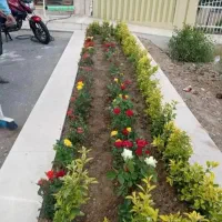 باغبانی،حرص،کوددهی،گلکاری وگل فروشی|خدمات باغبانی و درختکاری|کاشان, مفتح|دیوار