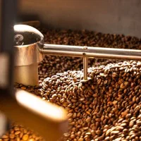 دان قهوه فول کافئین تجاری