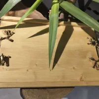 ظروف چوبی و سینی