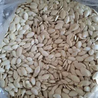 تخمه کدو|خوردنی و آشامیدنی|بهار, |دیوار