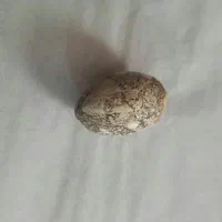 نگین مهره ای قدیمی تیربن. بسیار. قدیمی