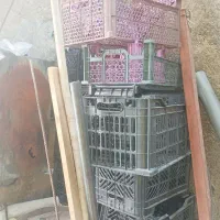 ۱۶عدد سبد سالم