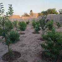 فروش زمین ۷۵۰ متری در آبشار تهران|فروش زمین و ملک کلنگی|تهران, آبشار تهران (دریاچه)|دیوار