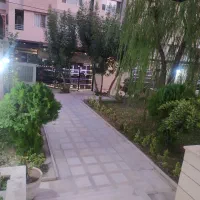 ۵۵متر یک خواب_سردارجنگل جنوب
