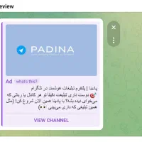 پادینا، دسترسی به ۵۰ میلیون مخاطب واقعی تلگرام|خدمات رایانه‌ای و موبایل|تهران, زعفرانیه|دیوار