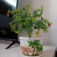 عیب وایرادش توعکس مشخصه گل وگلدان