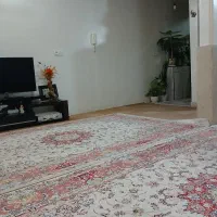 فروش-فقط-نقدی-کلنگی-سند-تکبرگ-6-amp-times-20-باغ-فیض