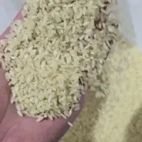 برنج کامفیروز بکیان