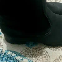 دو جفت نیم پوت زنانه|کیف، کفش، کمربند|آستارا, |دیوار