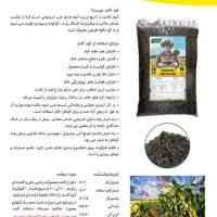 کودهیومیک اسید