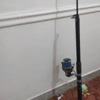 لنسر ماهیگیری