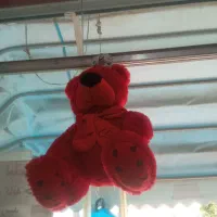 فروش عروسک پولیشی