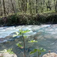 قرص کود ۱۲۰ عددی