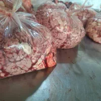 گوشت صورت کله زبان مغز گوساله|خوردنی و آشامیدنی|تهران, نظامی گنجوی (توانیر)|دیوار
